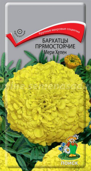 Цв.Бархатцы прямостоячие Мери Хелен Поиск  0,4гр (лимонно-желтые, выс. 90см, диам. цветка 10см)