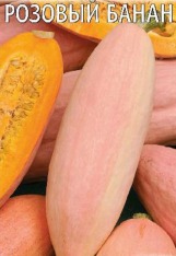 Тыква Розовый банан Гавриш цв.п. 2гр (среднесп.,тонкокорый, необычной формы, до 17кг)