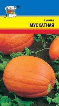 Тыква Мускатная УУ цв.п.  1гр  (оранж-желт., 6-7кг)