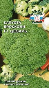 К.Брокколи Цезар Седек цв.п.