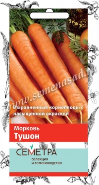Морковь Тушон Поиск (Семетра) цв.п  2гр