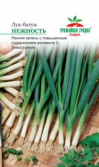Лук Батун Нежность СеДек. цв.п. 1 гр