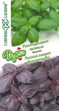 Базилик Фиолетовый + Зеленый ароматный Гавриш  Дуэт цв.п.