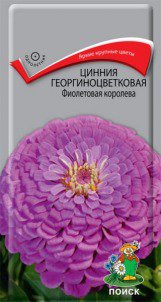 Цв.Циния Фиолетовая королева георгиноцветковая Поиск 0,4гр (80см)