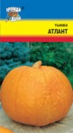 Тыква Атлант УУ цв.п. 1гр (крупный, скороспелый) - уменьшеная