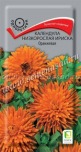 Цв.Календула низкорослая Ириска оранжевая Поиск 1г (махровые цветки диам. 8см) - уменьшеная