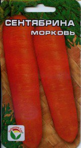 Морковь Сентябрина Сиб.сад  цв.п. 2гр.(среднеспелый, на хранение) - уменьшеная