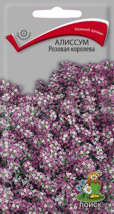 Цв.Алиссум Розовая королева Поиск 0,3гр (12см, медовый запах) - уменьшеная