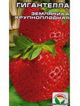 Земляника (Клубника) Гигантелла Сиб.сад цв.п. 10шт (голланд., крупнопл., с ананасовым вкусом)