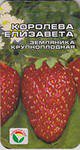 Земляника (Клубника) Королева Елизавета Сиб.сад  цв.п. 10шт (крупнопл., плодоносит весь сезон)