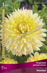 Клуб.Георгины Бильбао (декорат.,желтый, д.20см)