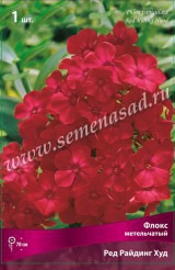 Клуб.Флокс Ред Райдинг Худ (яркий, красно-малиновый)