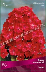 Клуб.Флокс Тенор (малиновый с кармин. центром)