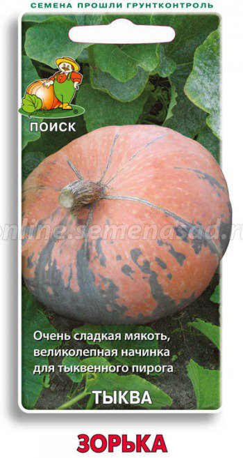 Тыква Зорька Поиск цв.п. 10сем. (повышенное содержание сахара и каротина)