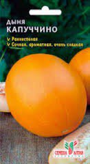 Кабачок Алтайский Аэлита цв.п. 1гр (цукини, скоросп., быстрорастущий)