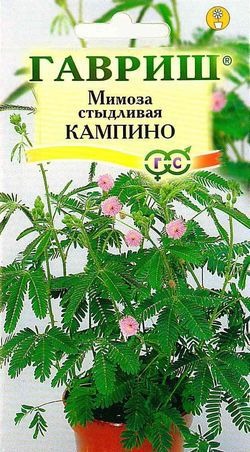 Цв.Мимоза стыдливая Кампина Гавриш 0,1г (комнатн.)