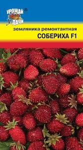 Земляника Собериха F1 УУ цв.п. 5шт (ремонт.)