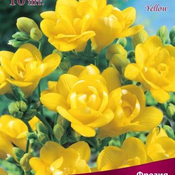 Клуб.Фрезия гибридная махровая Йеллоу (желтый)  (10)  цена за 1шт.