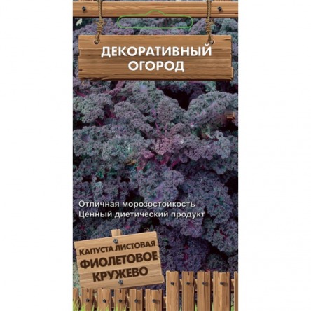 Капуста Листовая Фиолетовое кружево Поиск цв.п. 0,1гр (высокое содерж-е витаминов и микроэлементов)