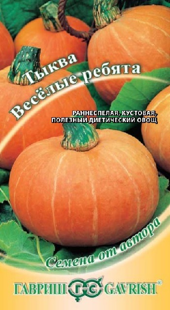 Тыква Веселые ребята Гавриш цв.п. 1гр (ранний, кустовой, оранжевый, до 2,5кг)