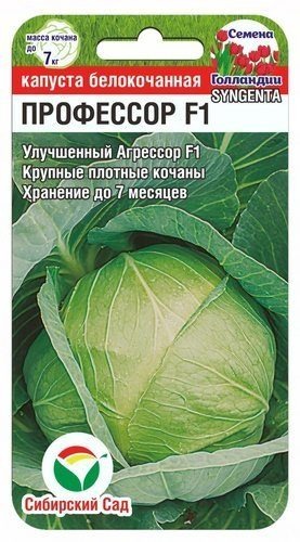 Капуста Профессор F1 Сиб.сад  цв.п. 10шт.(крупный, плотный, на хранение)