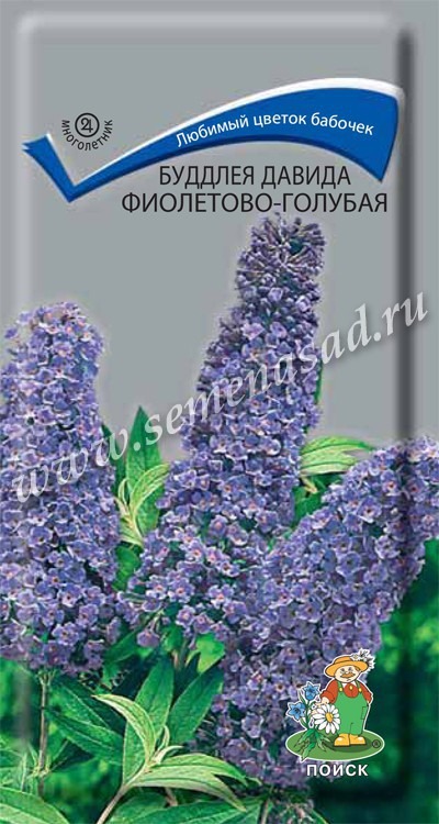 Цв.Буддлея Давида Фиолетово-голубая  Поиск 0,01гр