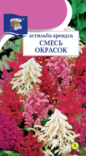 Цв.Астильба арендса Смесь УУ (многол., 75-90см)