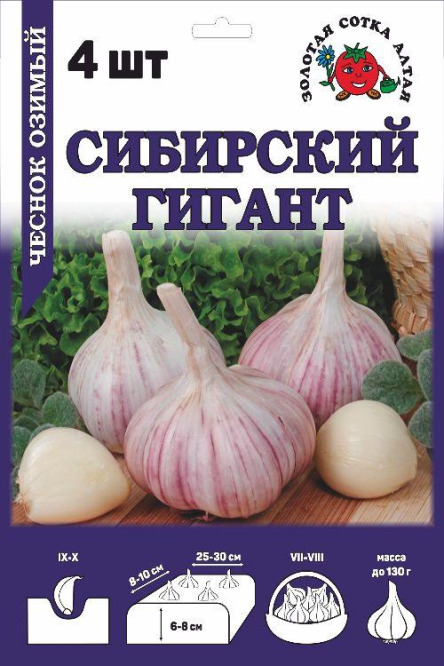 Чеснок озимый Сибирский Гигант Барнаул  (уп. 4шт.)  цена за  упаковку,  скидки нет