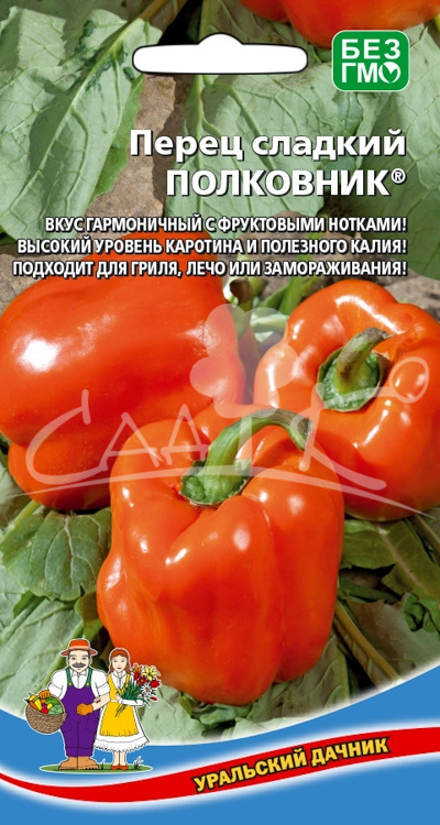 Перец Полковник УД цв.п. (раннесп.,среднеросл., плоды оранжевые 150-200гр)