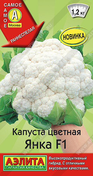 Капуста цветная Янка  Аэлита цв.п. 10 шт (очень урожайная, ранняя, 0,9- 1,2 кг)