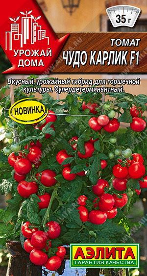 Томат Чудо карлик Аэлита цв.п. 10шт (ультраранний.,горшечный, выс.20-25см)