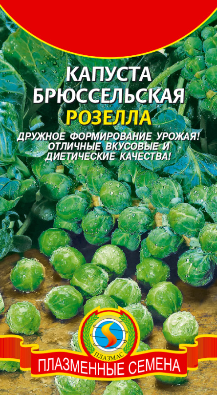 Капуста Брюссельская Розелла Плазмас цв.п.  0,3гр (среднеранн.)