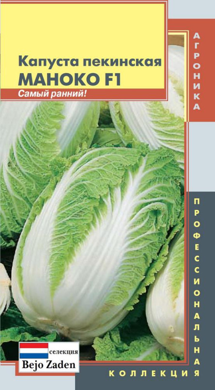 Капуста Пекинская Маноко F1 Плазмас цв.п.  15шт. (раннесп.,Голландия)