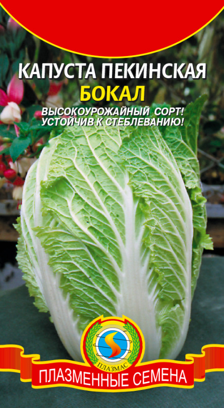 Капуста Пекинская Бокал Плазмас цв.п. 0,5гр (раннесп.,устойчив к стеблеванию)