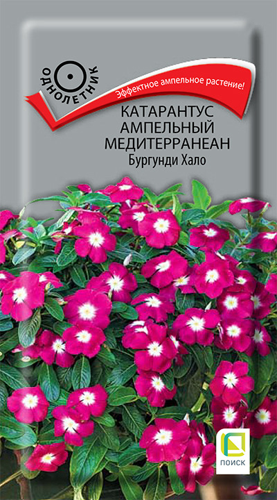 Цв.Катарантус ампельный Медитерранеан Бургунди Хало Поиск 10шт.