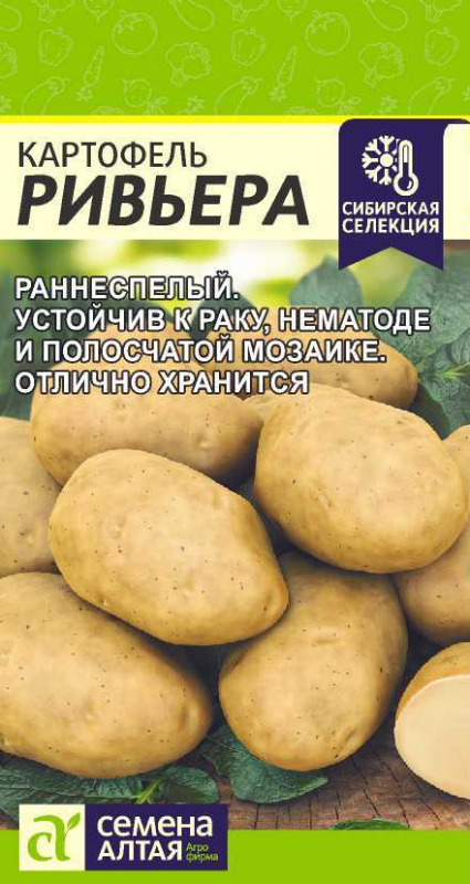 Картофель Ривьера Сем.Алтая цв.п. 0,02 гр.(раннесп.,клубни светло-бежев.,овальные,мякоть кремовая)