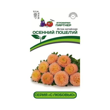 Цв.Астра китайская Осенний поцелуй Партнер цв.п. 5шт. (густомахр.,шаровидная, лососевая выс. 75см.)