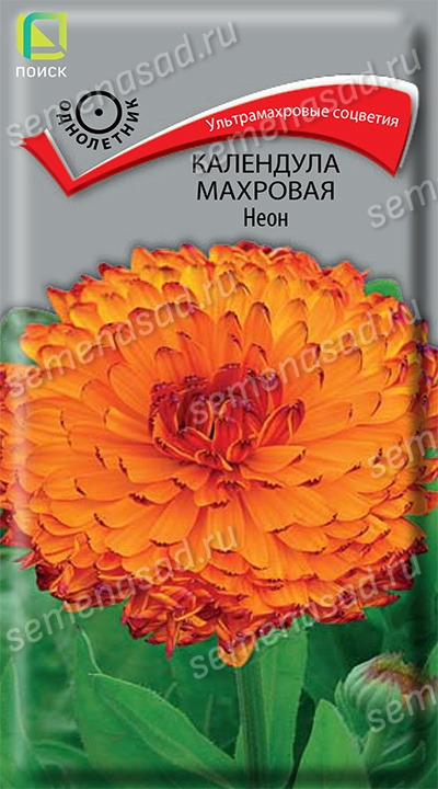 Цв.Календула махровая Неон Поиск  0,1гр (ультрамахровый, темно-оранжевый, 60-70см)