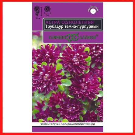 Цв.Астра Трубадур темно-пурпурныйГавриш. цв.п. 0,05 гр.(махровая,высота 50 см.,6-8 цветоносов)