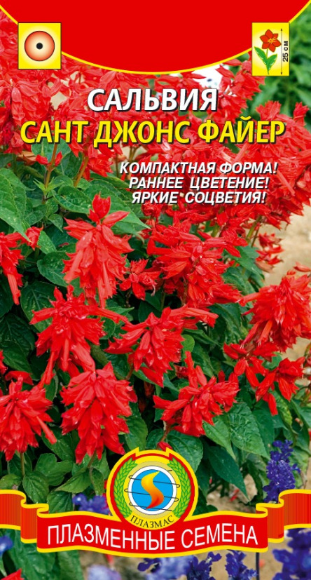 Цв.Сальвия Сант Джонс Файер Плазмас (ярко-алый, 25см)