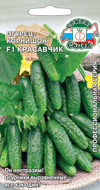 Огурец Красавчик F1СеДек цв.п. 0,3гр (среднеранний, пчелоопыл., 6-8см, отл. вкус)