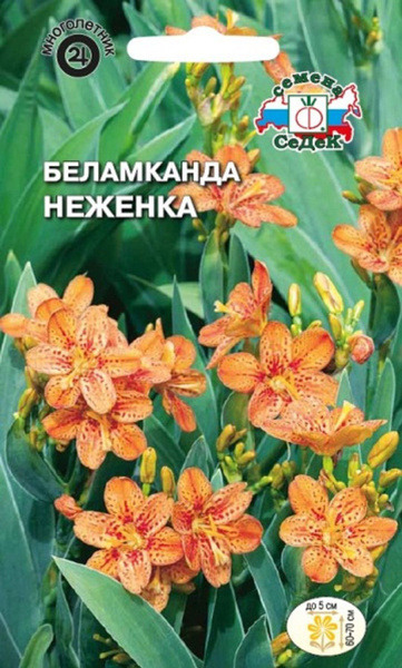 Цв.Беламканда (леопардовая лилия) Неженка СеДек 0,2гр