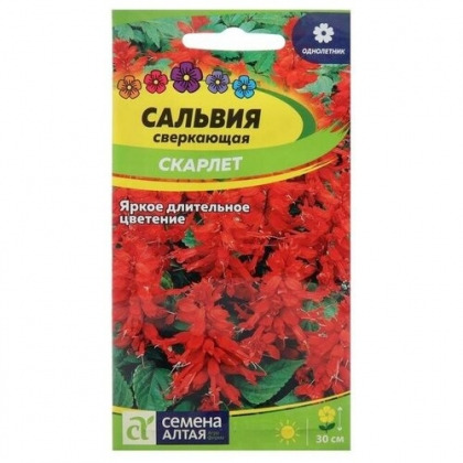 Цв.Сальвия сверкающая Скарлет Семена Алтая 0,1гр (красная, 20-30см)