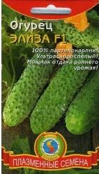 Огурец Элиза F1 Плазмас цв.п. (ранний партенокарпик с букетной завязью)