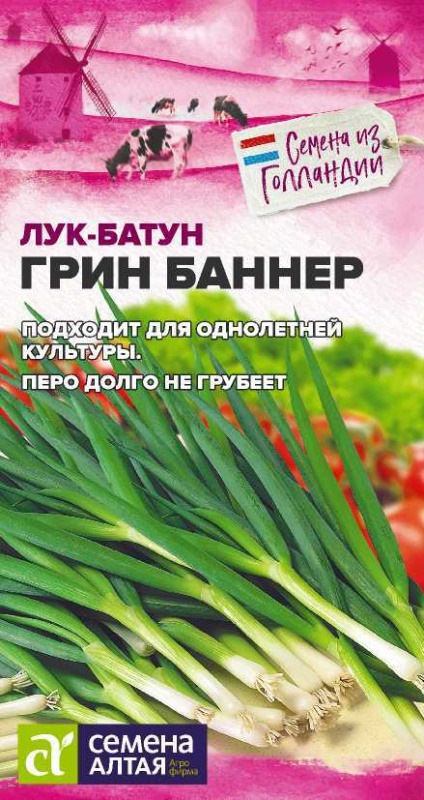 Лук батун Грин баннер Сем.Алтая цв.п. 0,2гр (суперранний, Голландия)
