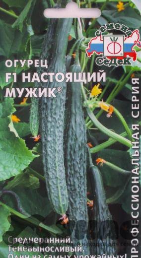 Огурец Настоящий мужик F1 Седек цв.п 0,2гр (среднеранн.,пчелоопыл.,30-35см, салатный)