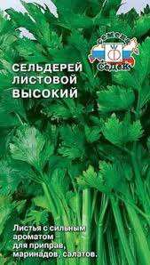 Сельдерей листовой Высокий СеДек цв.п 0,5гр