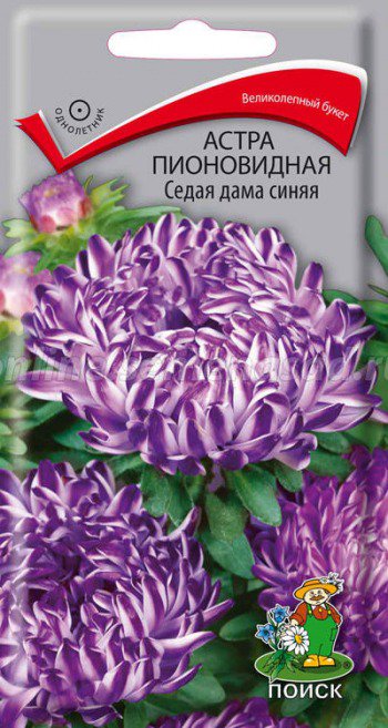 Цв.Астра Седая дама синяя пионовидная Поиск 0,3г