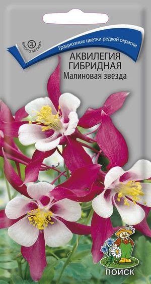 Цв.Аквилегия гибридная Малиновая звезда Поиск 0,05гр (70см)