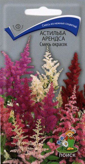 Цв.Астильба арендса Смесь Поиск 40шт (многол., 75-90см)